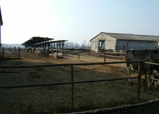 Vasi Agro Pannonia Kft.